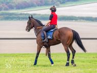 AK021025-18 - Believitanducan